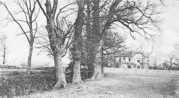 Parson's Close and the Vicarage